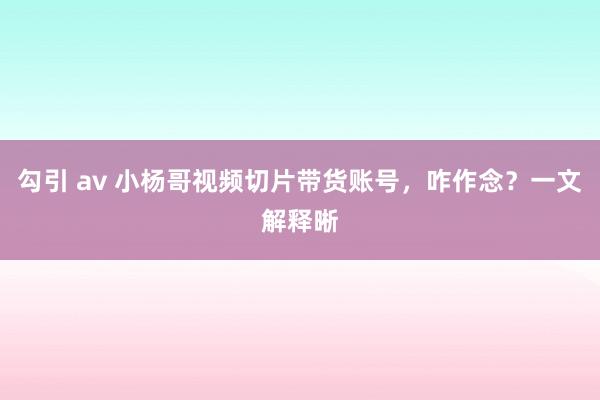 勾引 av 小杨哥视频切片带货账号，咋作念？一文解释晰