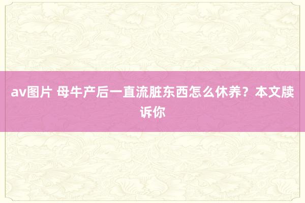 av图片 母牛产后一直流脏东西怎么休养？本文牍诉你