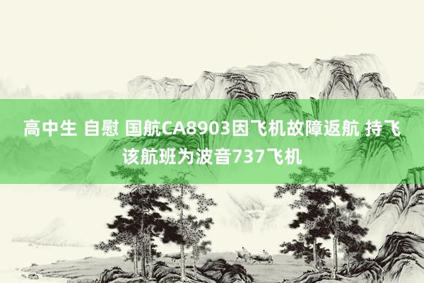 高中生 自慰 国航CA8903因飞机故障返航 持飞该航班为波音737飞机