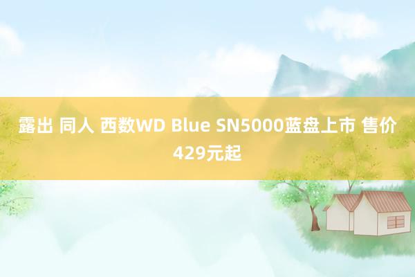 露出 同人 西数WD Blue SN5000蓝盘上市 售价429元起