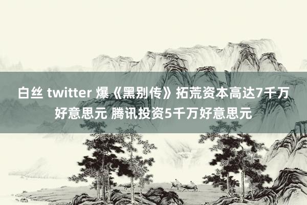 白丝 twitter 爆《黑别传》拓荒资本高达7千万好意思元 腾讯投资5千万好意思元