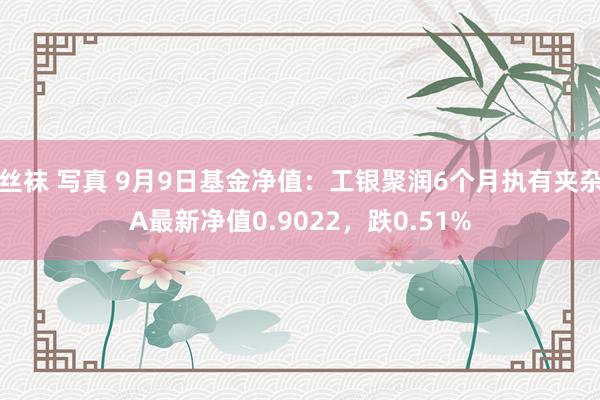 丝袜 写真 9月9日基金净值：工银聚润6个月执有夹杂A最新净值0.9022，跌0.51%