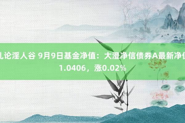 乱论淫人谷 9月9日基金净值：大澄净信债券A最新净值1.0406，涨0.02%