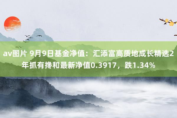 av图片 9月9日基金净值：汇添富高质地成长精选2年抓有搀和最新净值0.3917，跌1.34%