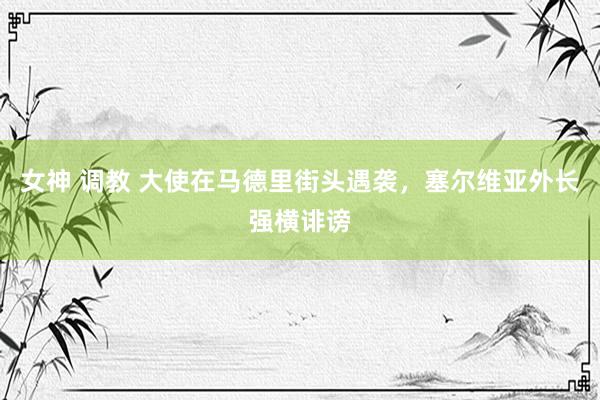 女神 调教 大使在马德里街头遇袭，塞尔维亚外长强横诽谤