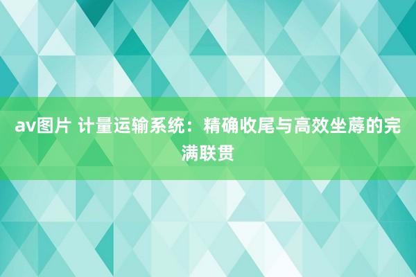 av图片 计量运输系统：精确收尾与高效坐蓐的完满联贯