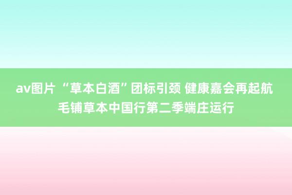 av图片 “草本白酒”团标引颈 健康嘉会再起航 毛铺草本中国行第二季端庄运行