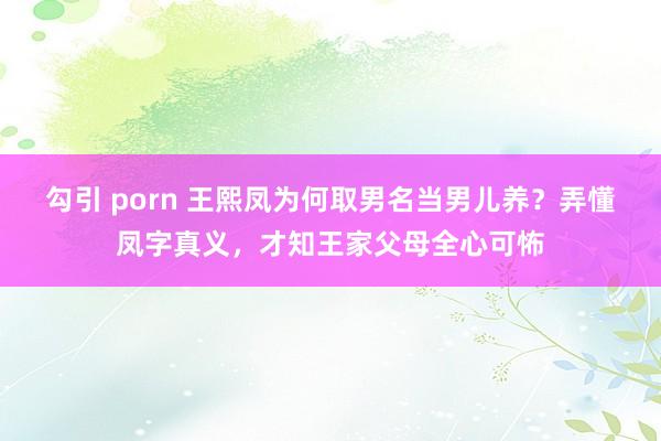 勾引 porn 王熙凤为何取男名当男儿养？弄懂凤字真义，才知王家父母全心可怖