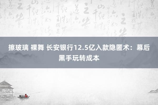 擦玻璃 裸舞 长安银行12.5亿入款隐匿术：幕后黑手玩转成本