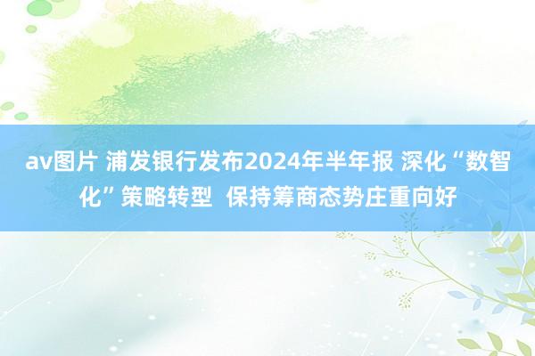 av图片 浦发银行发布2024年半年报 深化“数智化”策略转型  保持筹商态势庄重向好