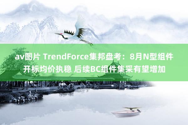 av图片 TrendForce集邦盘考：8月N型组件开标均价执稳 后续BC组件集采有望增加