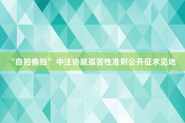 “自拍偷拍” 中注协就孤苦性准则公开征求见地