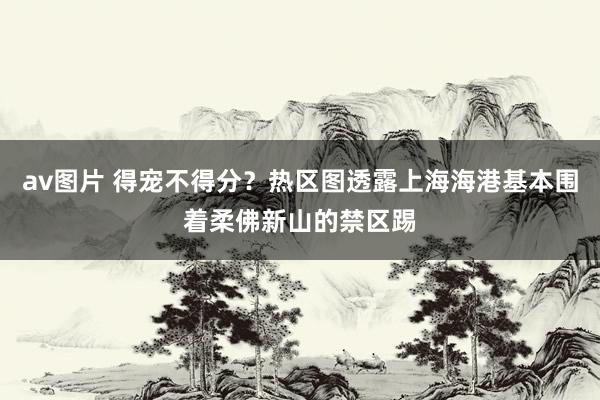 av图片 得宠不得分？热区图透露上海海港基本围着柔佛新山的禁区踢