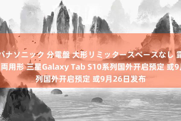 パナソニック 分電盤 大形リミッタースペースなし 露出・半埋込両用形 三星Galaxy Tab S10系列国外开启预定 或9月26日发布