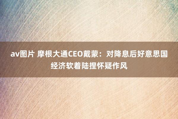 av图片 摩根大通CEO戴蒙：对降息后好意思国经济软着陆捏怀疑作风