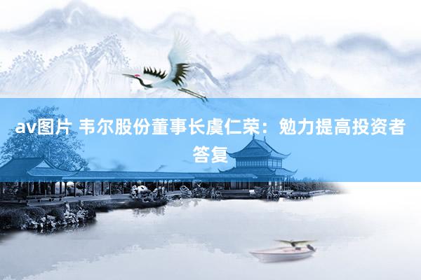 av图片 韦尔股份董事长虞仁荣：勉力提高投资者答复