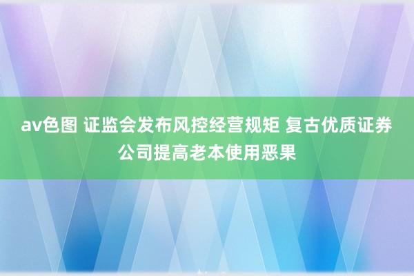 av色图 证监会发布风控经营规矩 复古优质证券公司提高老本使用恶果