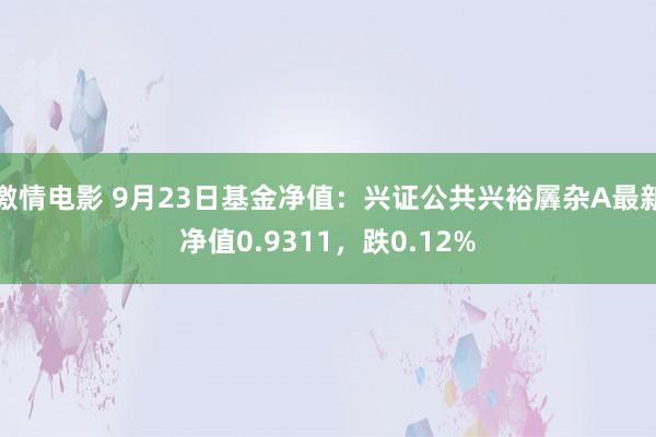 激情电影 9月23日基金净值：兴证公共兴裕羼杂A最新净值0.9311，跌0.12%