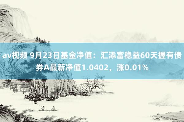 av视频 9月23日基金净值：汇添富稳益60天握有债券A最新净值1.0402，涨0.01%