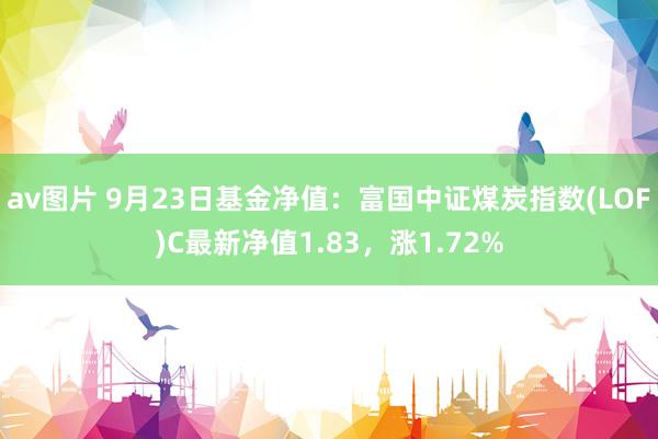 av图片 9月23日基金净值：富国中证煤炭指数(LOF)C最新净值1.83，涨1.72%