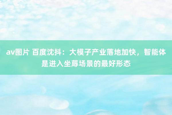 av图片 百度沈抖：大模子产业落地加快，智能体是进入坐蓐场景的最好形态