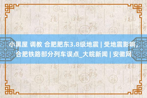 小黑屋 调教 合肥肥东3.8级地震 | 受地震影响，合肥铁路部分列车误点_大皖新闻 | 安徽网