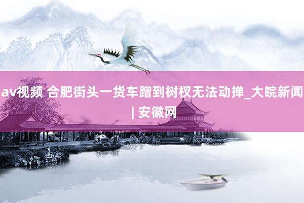 av视频 合肥街头一货车蹭到树杈无法动掸_大皖新闻 | 安徽网