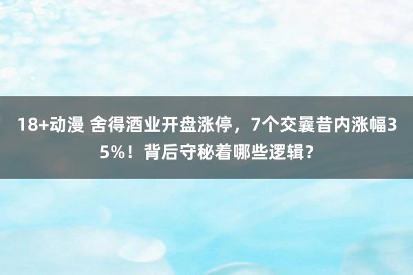 18+动漫 舍得酒业开盘涨停，7个交曩昔内涨幅35%！背后守秘着哪些逻辑？