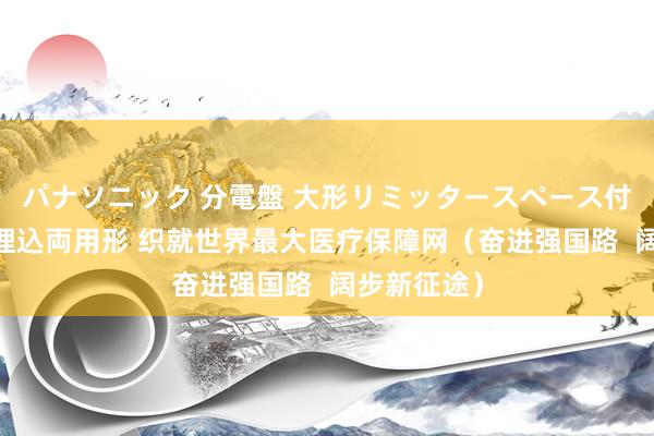 パナソニック 分電盤 大形リミッタースペース付 露出・半埋込両用形 织就世界最大医疗保障网（奋进强国路  阔步新征途）