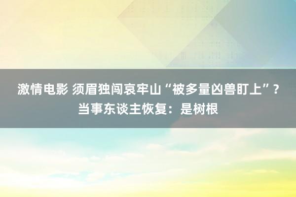 激情电影 须眉独闯哀牢山“被多量凶兽盯上”？当事东谈主恢复：是树根