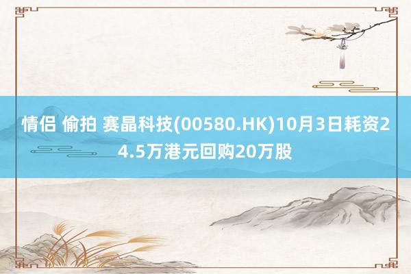 情侣 偷拍 赛晶科技(00580.HK)10月3日耗资24.5万港元回购20万股