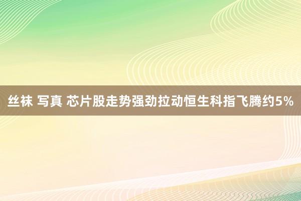 丝袜 写真 芯片股走势强劲拉动恒生科指飞腾约5%