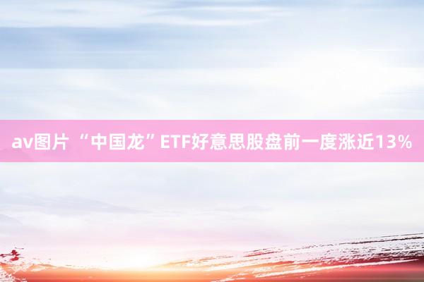 av图片 “中国龙”ETF好意思股盘前一度涨近13%