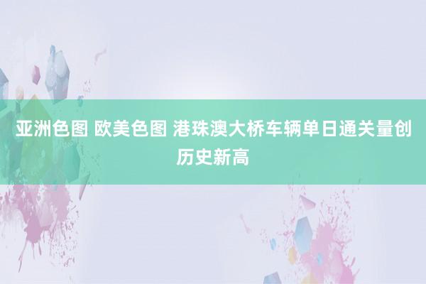 亚洲色图 欧美色图 港珠澳大桥车辆单日通关量创历史新高