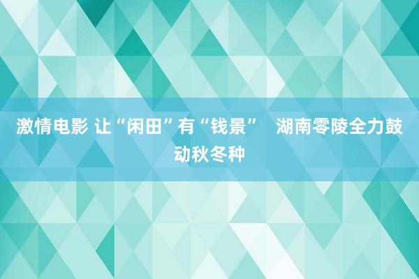 激情电影 让“闲田”有“钱景”   湖南零陵全力鼓动秋冬种