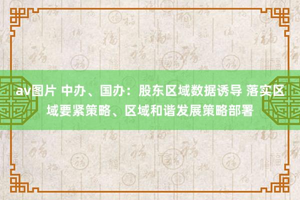 av图片 中办、国办：股东区域数据诱导 落实区域要紧策略、区域和谐发展策略部署