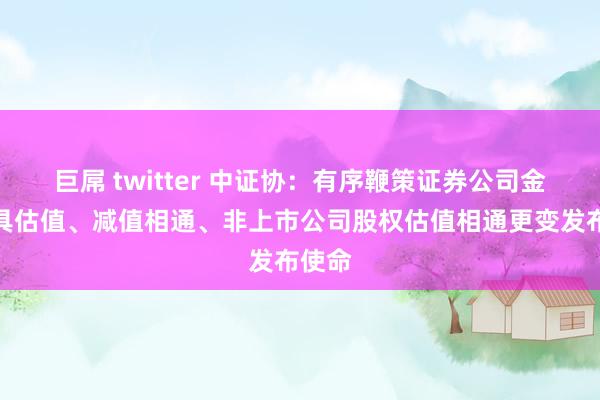 巨屌 twitter 中证协：有序鞭策证券公司金融器具估值、减值相通、非上市公司股权估值相通更变发布使命