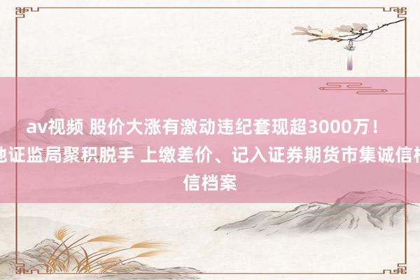 av视频 股价大涨有激动违纪套现超3000万！ 四地证监局聚积脱手 上缴差价、记入证券期货市集诚信档案