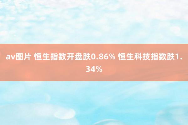 av图片 恒生指数开盘跌0.86% 恒生科技指数跌1.34%