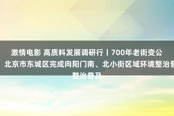 激情电影 高质料发展调研行丨700年老街变公园：北京市东城区完成向阳门南、北小街区域环境整治普及