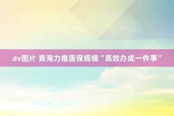 av图片 青海力推医保规模“高效办成一件事”