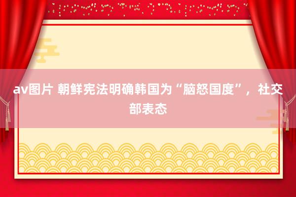 av图片 朝鲜宪法明确韩国为“脑怒国度”，社交部表态