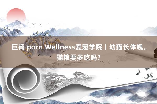 巨臀 porn Wellness爱宠学院丨幼猫长体魄，猫粮要多吃吗？