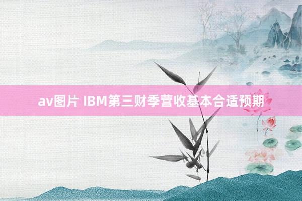 av图片 IBM第三财季营收基本合适预期