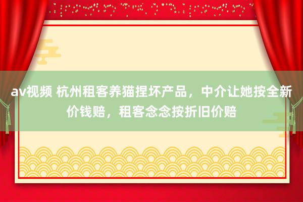 av视频 杭州租客养猫捏坏产品，中介让她按全新价钱赔，租客念念按折旧价赔