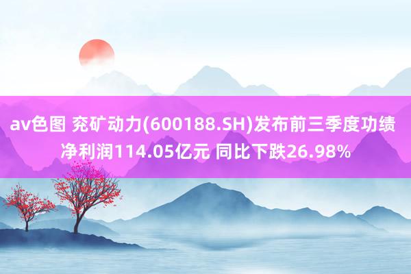 av色图 兖矿动力(600188.SH)发布前三季度功绩 净利润114.05亿元 同比下跌26.98%