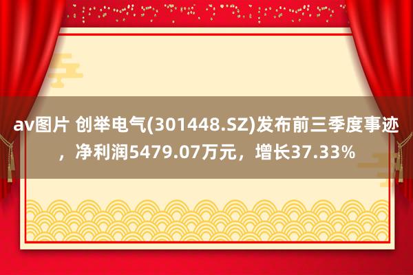 av图片 创举电气(301448.SZ)发布前三季度事迹，净利润5479.07万元，增长37.33%