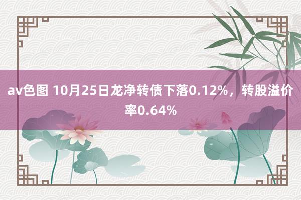 av色图 10月25日龙净转债下落0.12%，转股溢价率0.64%