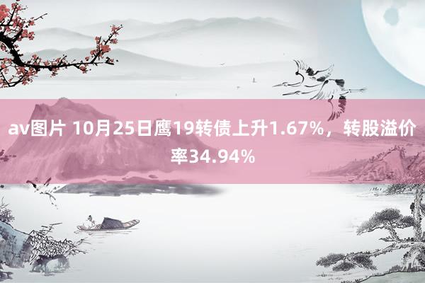 av图片 10月25日鹰19转债上升1.67%，转股溢价率34.94%