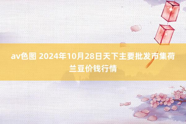 av色图 2024年10月28日天下主要批发市集荷兰豆价钱行情